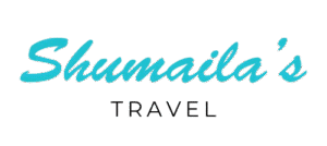 Black___Blue_Minimalist_Modern_Initial_Font_Logo__2_-removebg-preview